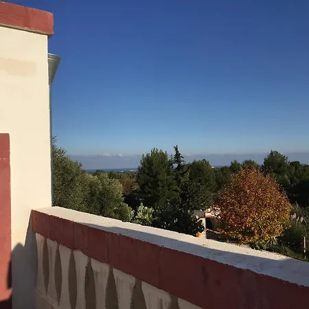 Masseria Montenapoleone * Fasano